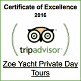 trip advisor award winner