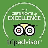 tripadvisor travel award