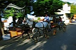 horse-carraige-tours